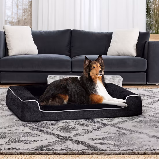Washable Removable Cover Fluffy Pet Sofa Seat Dog Car Seat Bed
